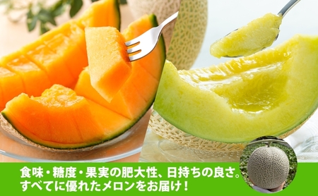 【2026年発送 先行予約】のざわ農園 日高 赤肉メロン 4~6玉 約8kg~9kg めろん メロン 赤い 甘い 夏 フルーツ 果実 ルピアレッド 糖度 甘み 濃厚 肥料 贈り物 お中元 お歳暮 常温 家族 デザート のざわ農園 北海道 日高町