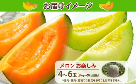 【2026年発送 先行予約】のざわ農園 日高 赤肉メロン 4~6玉 約8kg~9kg めろん メロン 赤い 甘い 夏 フルーツ 果実 ルピアレッド 糖度 甘み 濃厚 肥料 贈り物 お中元 お歳暮 常温 家族 デザート のざわ農園 北海道 日高町