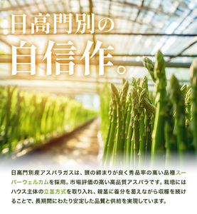 アスパラガス 秀品 アスパラ グリーンアスパラ 2L サイズ 1kg (500g×2) 門別町農業協同組合(生活資材課)《4月上旬-5月末頃出荷》北海道 日高町 送料無料 春野菜 春 朝採り 朝採れ お取り寄せ