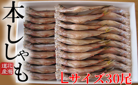 北海道産 ししゃもL30尾セット 魚介類 ししゃも 魚 海鮮 海の幸 北海道