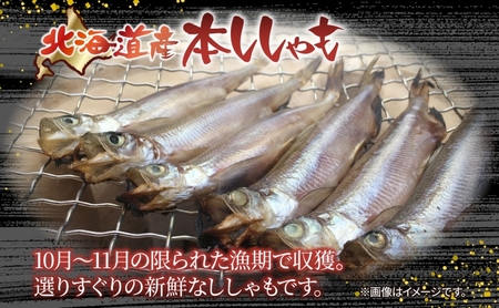 北海道産 阿部水産 ししゃも M 30尾セット 本ししゃも 雌 メス 魚卵 卵 たまご タマゴ子持ち 北海道土産 季節限定 ほくほく 子魚 無添加 クール便 冷凍 送料無料 北海道 日高町