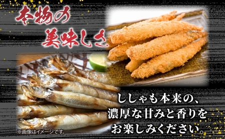 北海道産 阿部水産 ししゃも M 30尾セット 本ししゃも 雌 メス 魚卵 卵 たまご タマゴ子持ち 北海道土産 季節限定 ほくほく 子魚 無添加 クール便 冷凍 送料無料 北海道 日高町