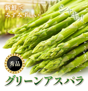 アスパラガス 秀品 アスパラ グリーンアスパラ 2L サイズ 2kg (500g×4) 門別町農業協同組合(生活資材課)《4月上旬-5月末頃出荷》北海道 日高町 送料無料 春野菜 春 朝採り 朝採れ お取り寄せ