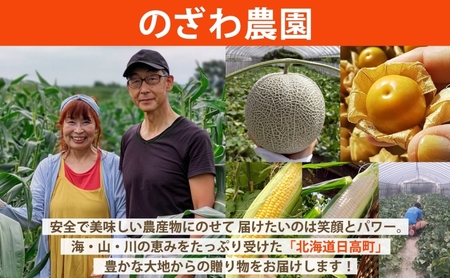 【2026年発送 先行予約】【 のざわ農園 】スイートコーン 10本 前後（約4kg） とうもろこし コーン とうきび 北海道 日高産