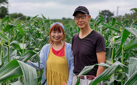 【2026年発送 先行予約】【 のざわ農園 】 フルーツ ほおずき 「 太陽の子 」約500g 北海道 日高産 希少 ホオズキ