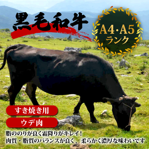 土佐 黒毛 和牛 すき焼き用 800g （ 400g × 2パック ） | 特撰 ウデ肉 肩肉 最上位等級牛肉 A4牛肉 A5牛肉 最高ランク牛肉 贅沢 すきやき スキヤキ用 鍋 焼肉用牛肉 小分け 冷凍 国産牛肉 高知県 須崎 TM004