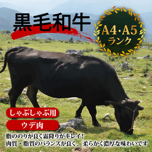 土佐 黒毛 和牛 しゃぶしゃぶ用 800g （ 400g × 2 ） | ウデ肉 肩肉 最上位等級 A4 A5  しゃぶしゃぶ　鍋 スライス 焼肉用 小分け 冷凍 国産 牛肉 高知県 須崎 TM006