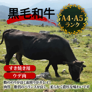 土佐 黒毛 和牛 すき焼き用 1.2kg （ 400g × 3 ） | ウデ肉 肩肉 最上位等級 A4牛肉 A5牛肉 最高ランク和牛 すきやき スキヤキ用牛肉 鍋 焼肉用和牛 小分け 冷凍 国産 牛肉 高知県 須崎 TM011