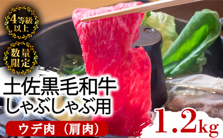 土佐 黒毛 和牛 しゃぶしゃぶ用 1.2kg （ 400g × 3 ） | ウデ肉 肩肉 最上位等級 A4 A5  しゃぶしゃぶ　鍋 スライス 焼肉用 小分け 冷凍 国産 牛肉 1kg 以上 高知県 須崎 TM013