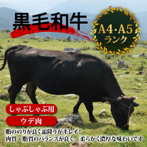 土佐 黒毛 和牛 しゃぶしゃぶ用 1.2kg （ 400g × 3 ） | ウデ肉 肩肉 最上位等級 A4 A5  しゃぶしゃぶ　鍋 スライス 焼肉用 小分け 冷凍 国産 牛肉 1kg 以上 高知県 須崎 TM013