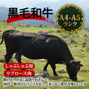 土佐 黒毛 和牛 しゃぶしゃぶ用 800g | 特撰 リブロース肉 最上位等級 A4 A5 最高ランク 贅沢 しゃぶしゃぶ 鍋 スライス 焼肉用 小分け 冷凍 国産 牛肉 高知県 須崎 TM015