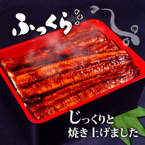 うなぎ 蒲焼き 特大 鰻 200g×20尾 セット蒲焼きのタレ 付き 冷凍 高知県 須崎市 （うなぎ 蒲焼き 冷凍 スタミナ 土用の丑の日 タレ 小分け タレ付 鰻 ウナギ）