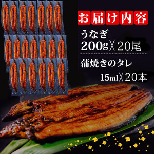 うなぎ 蒲焼き 特大 鰻 200g×20尾 セット蒲焼きのタレ 付き 冷凍 高知県 須崎市 （うなぎ 蒲焼き 冷凍 スタミナ 土用の丑の日 タレ 小分け タレ付 鰻 ウナギ）