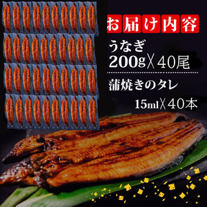 うなぎ 蒲焼き 特大 鰻 200g×40尾 セット蒲焼きのタレ 付き 高知県 須崎市 ( うなぎ 蒲焼き うなぎ 冷凍 うなぎ スタミナ うなぎ 土用の丑の日 うなぎ タレ うなぎ 小分け うなぎ タレ付 うなぎ 鰻 ウナギ )