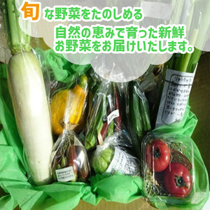 【 野菜 】 野菜定期便 12回定期便 6～8 品 セット 12か月