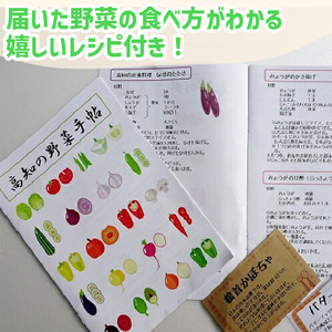 【 野菜 】 野菜定期便 12回定期便 6～8 品 セット 12か月