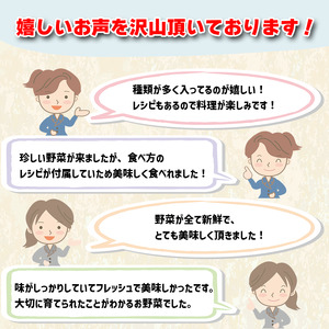 【 野菜 】 野菜定期便 12回定期便 6～8 品 セット 12か月