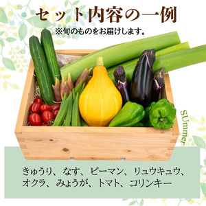 【 野菜 】 野菜定期便 12回定期便 6～8 品 セット 12か月