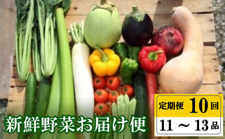 定期便 年末限定 全 10回 10ヶ月 定期便 プレミアム 季節の定期便 旬 野菜定期便 詰め合わせ セット 11 ～ 13 品  定期便 高知県 須崎市