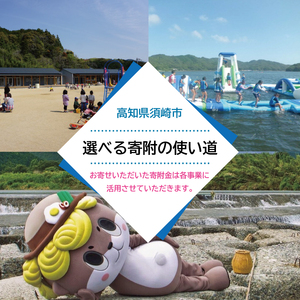 海鮮BOX 4kg以上 旬のお魚 海鮮詰め合わせ