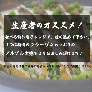 うつぼ タタキ 400g 特製 ポン酢 付き コラーゲン たっぷり 土佐 郷土料理 産地直送 高知県 須崎市 高知県須崎市 ふるさと納税サイト ふるなび