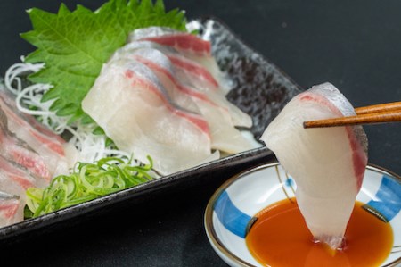 シマアジ 高級 魚 縞鯵 鮮魚 半身 刺身 新鮮 切るだけ簡単調理  高知県 須崎市