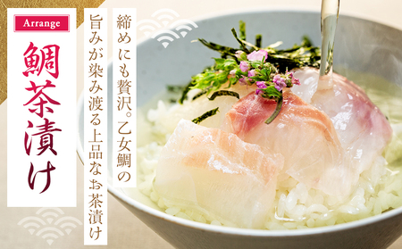 【 鯛 】 乙女鯛 2.0kg以上