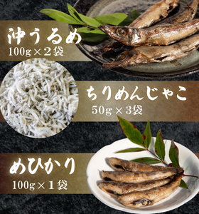 干物3点セット ちりめんじゃこ めひかり ウルメ 干物干物干物干物