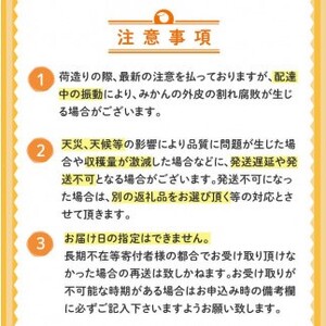 【2025年2月より順次発送】 土佐文旦 5kg 優品 柑橘 みかん 文旦 期間限定 常温土佐文旦 高知土佐文旦 フルーツ 北川果樹園 KG015