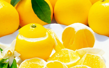 【訳あり】小夏 (日向夏) ヘルシー小夏ちゃん 3kg | 家庭用 期間 数量 限定 旬 人気 果物 くだもの 柑橘 フルーツ みかん ジュース 高知県 須崎市 KYM009