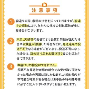 訳あり 文旦 10kg L?4L サイズ混合 2025年 2月 上旬から発送 みかん 柑橘 高知県 須崎市 ( 文旦 柑橘 みかん ぶんたん 土佐文旦 みかん 柑橘 )KN003-xx