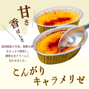 【 アイス 】 アイスブリュレ 15個