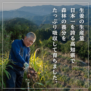 【早期予約 12月より順次発送】 高知県産 しょうが 「 金時生姜 」2kg 新鮮 野菜 薬味 大容量 高知 須崎 高知県 須崎市 HNT023