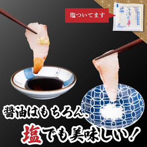 【 かつおのたたき 】 かつおのたたきとカンパチ セット