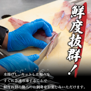 【 かつおのたたき 】 かつおのたたきとカンパチ セット