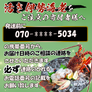 【 伊勢海老 】 伊勢海老1.6kg以上