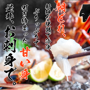 【 伊勢海老 】 伊勢海老1.6kg以上