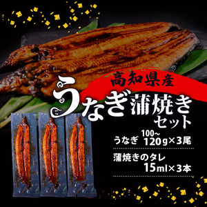 【 うなぎ蒲焼き 】 高知県産 うなぎ蒲焼き 100g～120g 3尾 セット ( うなぎ 蒲焼き スタミナ 土用の丑の日 小分け )