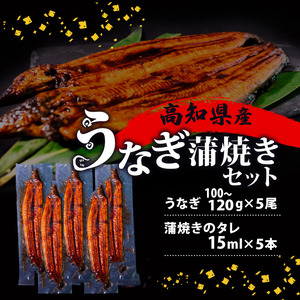 【 うなぎ蒲焼き 】 うなぎ蒲焼き 100g～120g 5尾