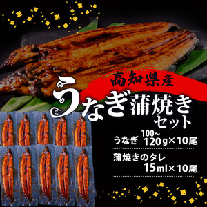【 うなぎ蒲焼き 】 うなぎ蒲焼き 100g～120g 10尾