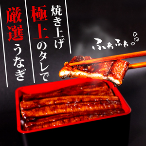 高知県産うなぎ蒲焼き 100g～120g×20尾 セット 蒲焼きのタレ 付き 冷凍 高知県 須崎市 （うなぎ 蒲焼き 冷凍 スタミナ 土用の丑の日 タレ 小分け タレ付 鰻 ウナギ）