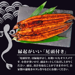 高知県産うなぎ蒲焼き 100g～120g×20尾 セット 蒲焼きのタレ 付き 冷凍 高知県 須崎市 （うなぎ 蒲焼き 冷凍 スタミナ 土用の丑の日 タレ 小分け タレ付 鰻 ウナギ）