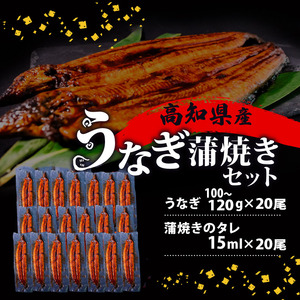 高知県産うなぎ蒲焼き 100g～120g×20尾 セット 蒲焼きのタレ 付き 冷凍 高知県 須崎市 （うなぎ 蒲焼き 冷凍 スタミナ 土用の丑の日 タレ 小分け タレ付 鰻 ウナギ）