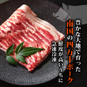 高知県産 ブランドポーク 豚肉 切り落とし 1.2kg | 300g × 4パック セット 肉 豚肉 国産豚肉 高知県産豚肉 豚肉 大容量 豚肉 しゃぶしゃぶ 豚肉 バラ肉 小分け 小間切れ スライス 切り落とし 冷凍 真空パック 簡単調理 細切れ 大容量 肉 高知県 須崎市 TM037