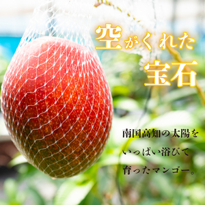 【 マンゴー 】 マンゴー早期予約 秀品900g