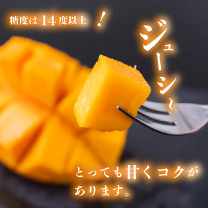【 マンゴー 】 マンゴー早期予約 秀品900g