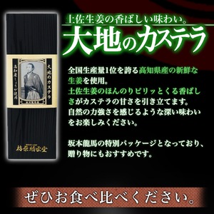 【 カステラ 】 カステラ1本