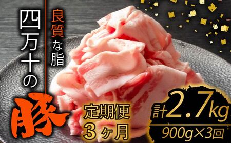 【 切り落とし 】 豚肉定期便 切り落とし 全3回 計2.7kg （900g×3ヶ月)
