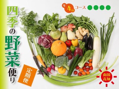 定期便 4回 野菜 おまかせ セット 10 ～ 14種 春夏秋冬 なばな 新玉ねぎ そら豆 スナップえんどう 春キャベツ フルーツトマト じゃが芋 みょうが ズッキーニ オクラ かぼちゃ すじなし豆 トマト 空心菜 花ニラ さつま芋 栗 秋豆 しょうが 金時しょうが キク芋 赤大根 白大根 かぶ カリフラワー 白菜 ブロッコリー 葉ニンニク ゆず 須崎 高知 頒布会 HNT2000