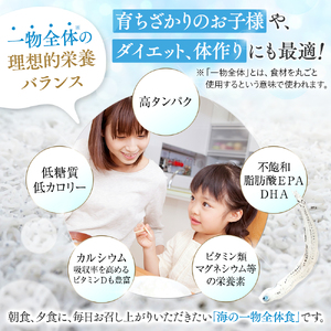 定期便 2ヶ月 鮮度抜群 海の玄米 子供用 釜揚げ しらす 1kg 個包装 計 2kg MS5000